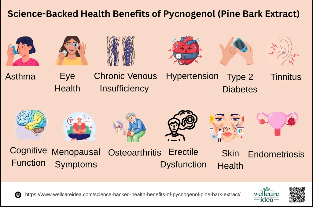 Science-Backed Health Benefits of Pycnogenol (Pine Bark Extract)