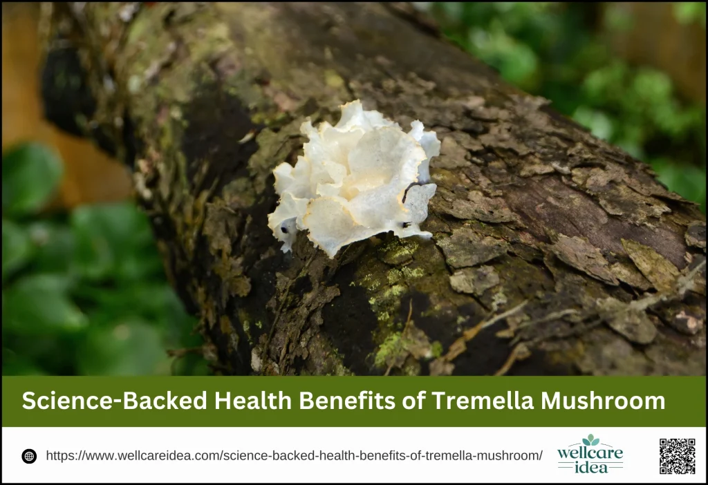 Science-Backed Health Benefits of Tremella Mushroom