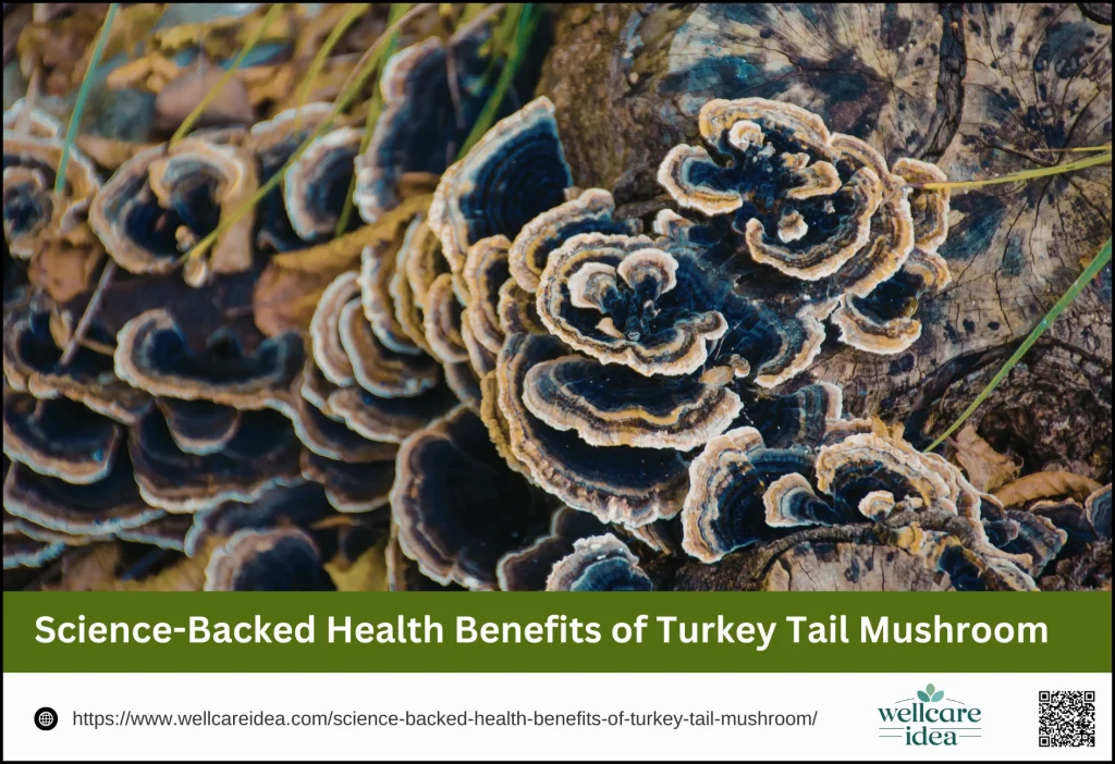 Science-Backed Health Benefits of Turkey Tail Mushroom