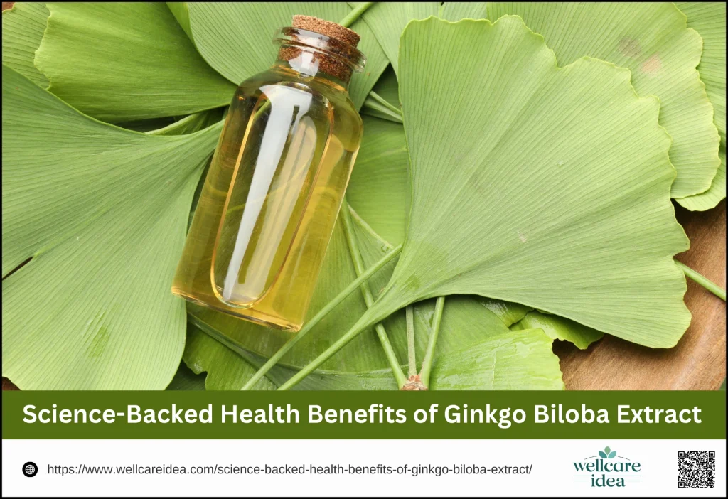 Science-Backed Health Benefits of Ginkgo Biloba Extract