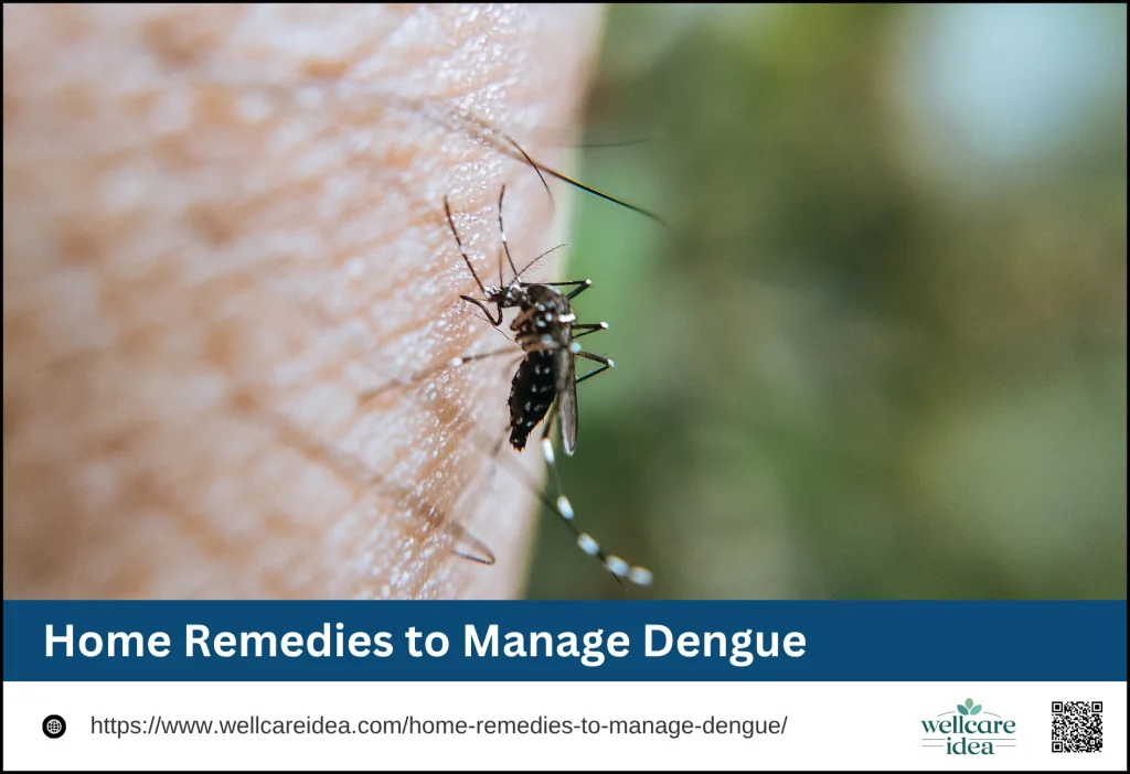 Home Remedies to Manage Dengue